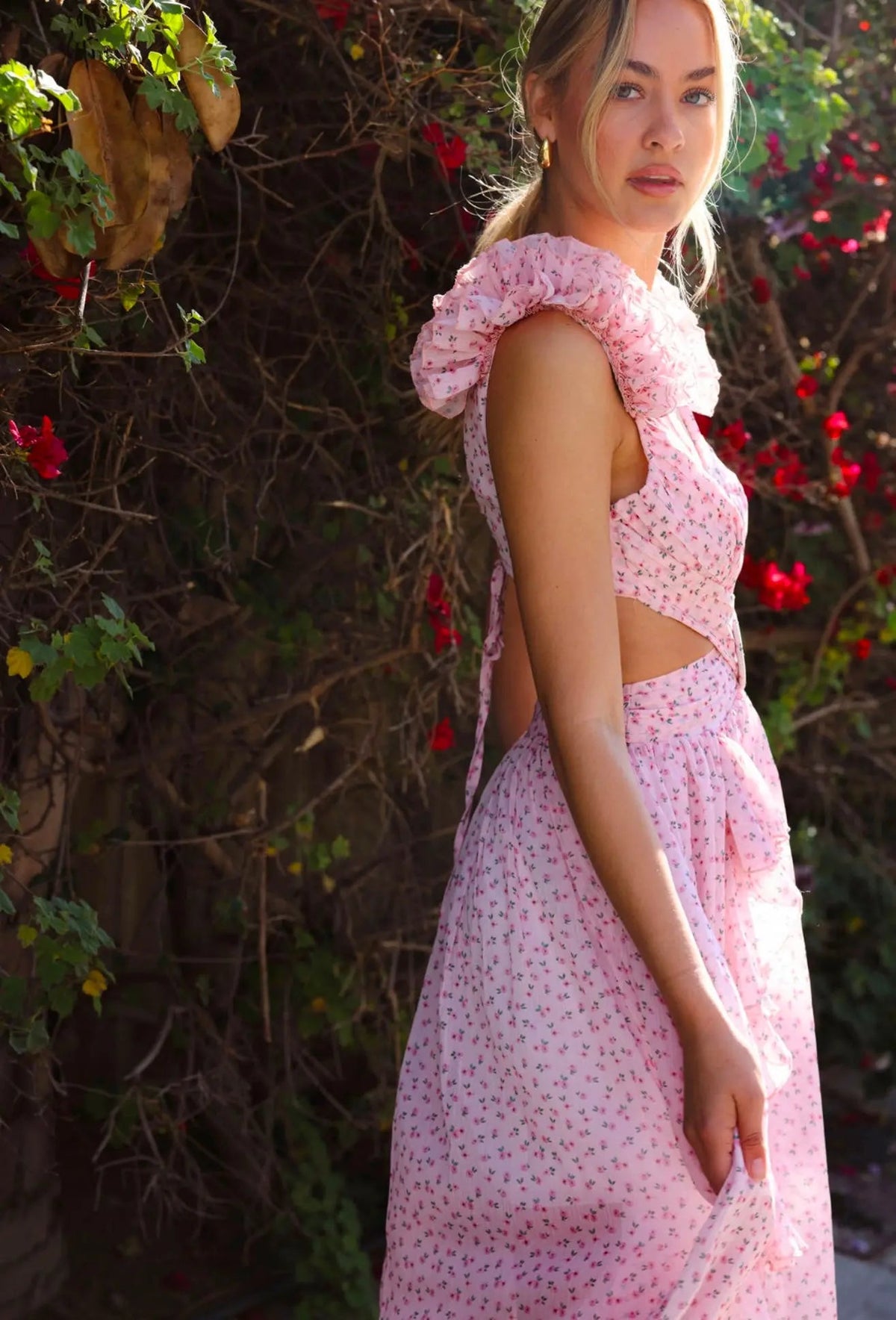 Ditsy Pink Cassini