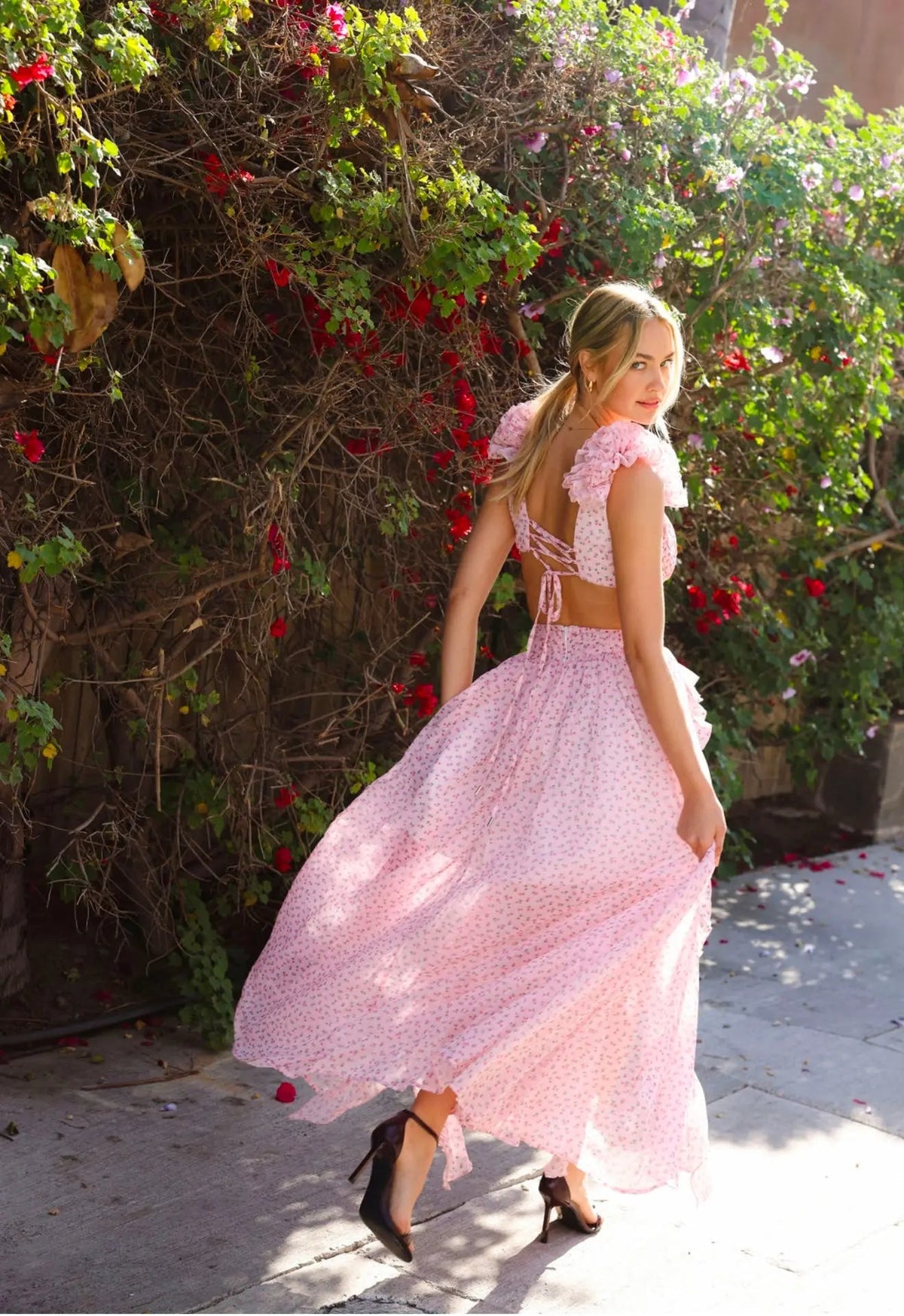 Ditsy Pink Cassini