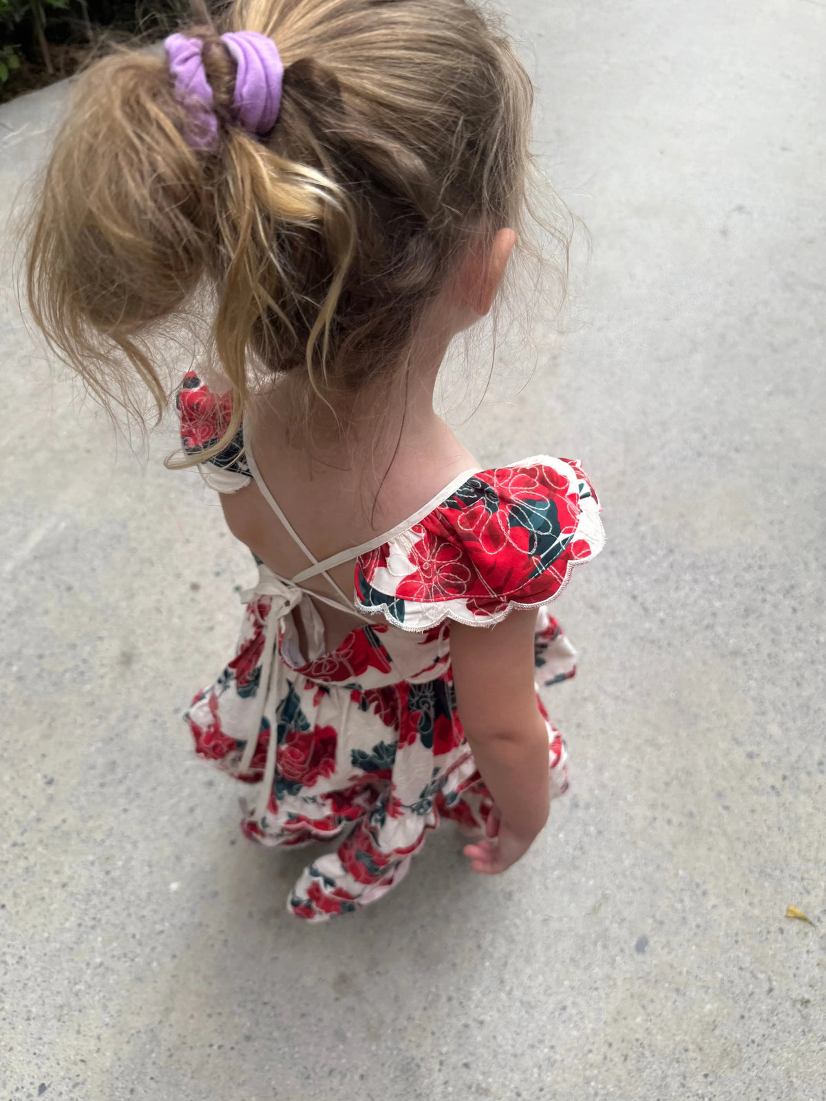 Baby Monaco rose