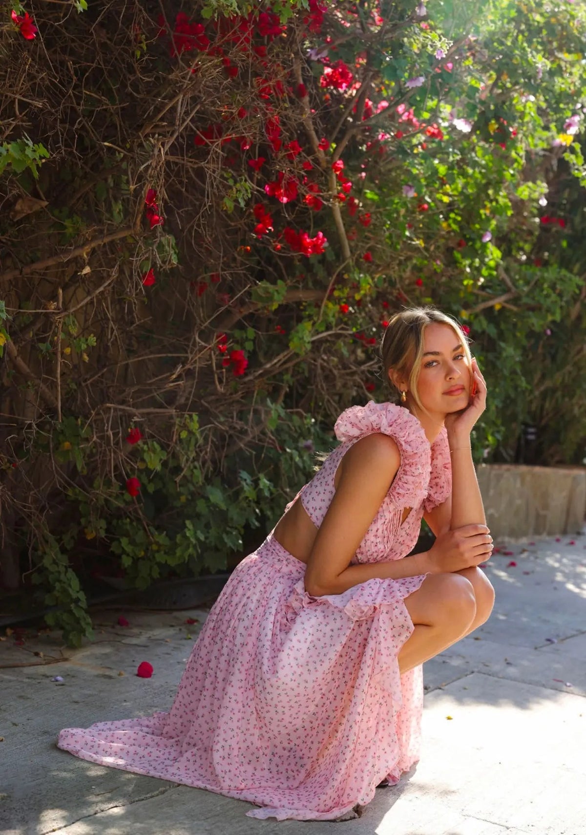 Ditsy Pink Cassini